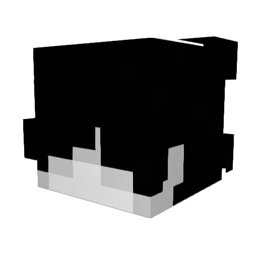 MISARYxSTCLL Minecraft avatar head, 3D render