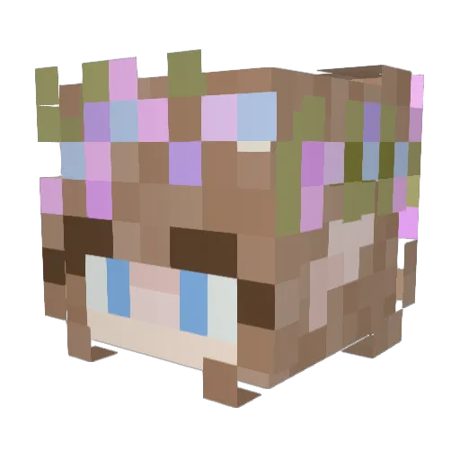 MISHKOO11 Minecraft avatar head, 3D render