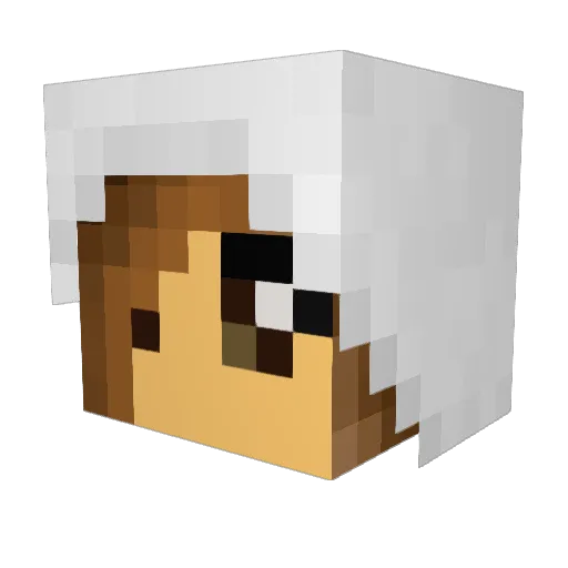 MISSFITZ Minecraft avatar head, 3D render