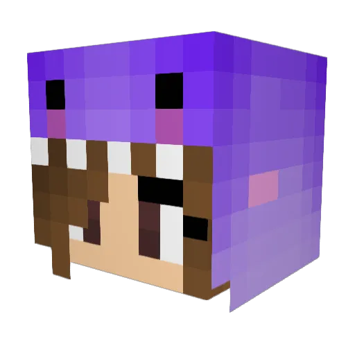 MISSPAFOS Minecraft avatar head, 3D render