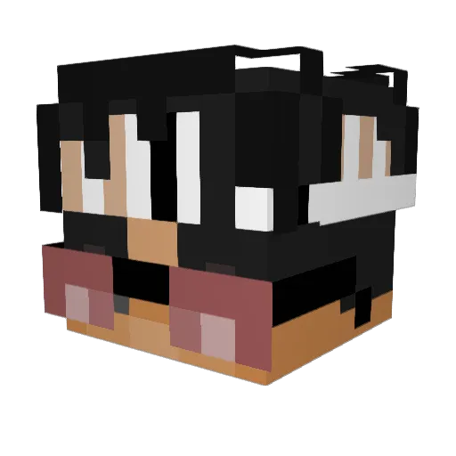 MISTERMONKEY_ Minecraft avatar head, 3D render