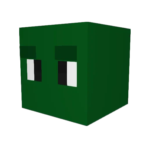 MISTER_TOMAS Minecraft avatar head, 3D render