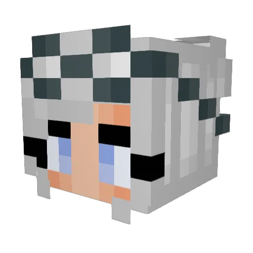 MIckey867 Minecraft avatar head, 3D render