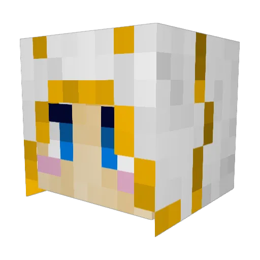 MIdnight_Pyro Minecraft avatar head, 3D render