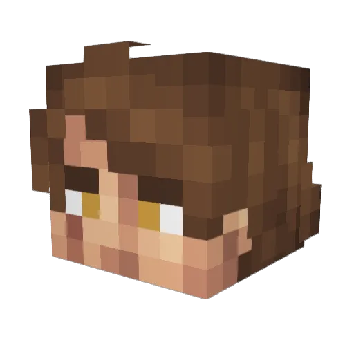 MIguelZambon08 Minecraft avatar head, 3D render