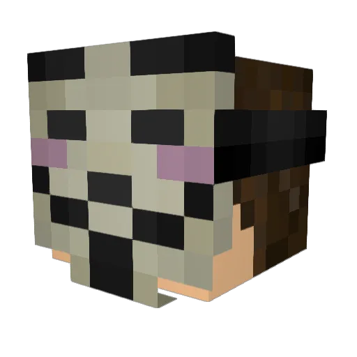 MJHOl_SA Minecraft avatar head, 3D render