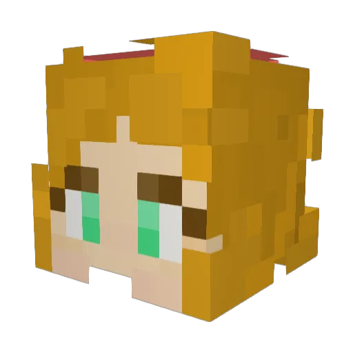 MJ_MemeCat Minecraft avatar head, 3D render