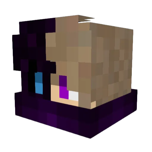 MJooDYF_16 Minecraft avatar head, 3D render