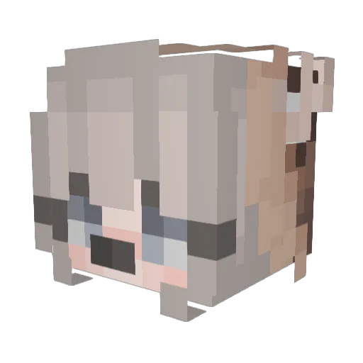 MJose2004 Minecraft avatar head, 3D render