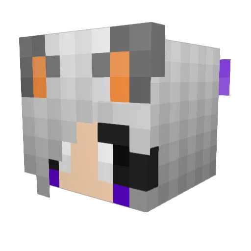 MKBarf23 Minecraft avatar head, 3D render