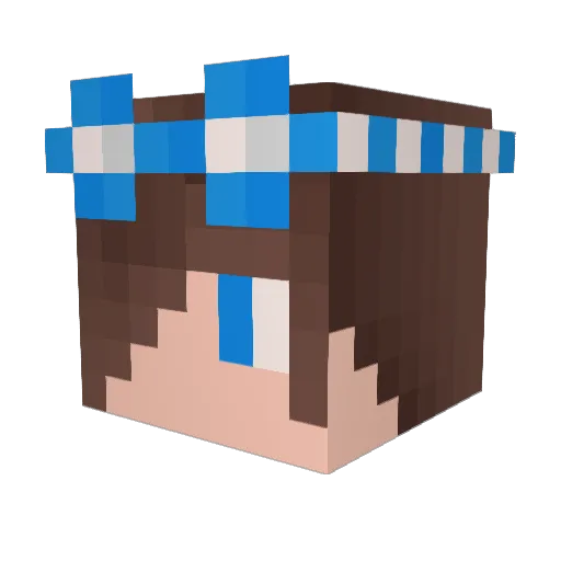MLG25 Minecraft avatar head, 3D render