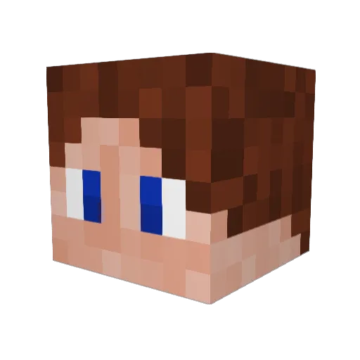 MLGKatze Minecraft avatar head, 3D render