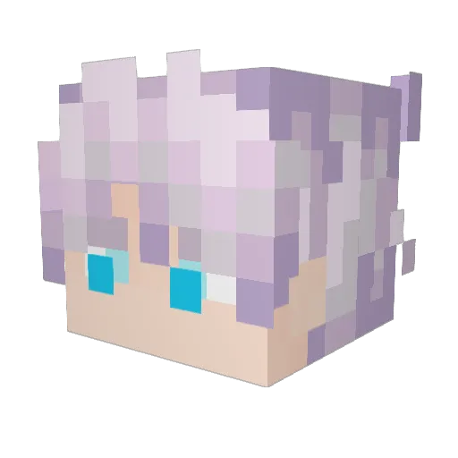 MLGYeetus123 Minecraft avatar head, 3D render