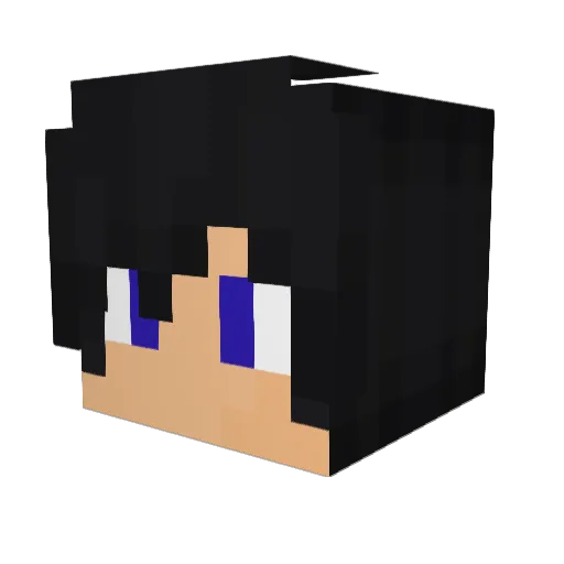 MLG_1960 Minecraft avatar head, 3D render