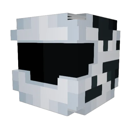 MLG_Reaper Minecraft avatar head, 3D render