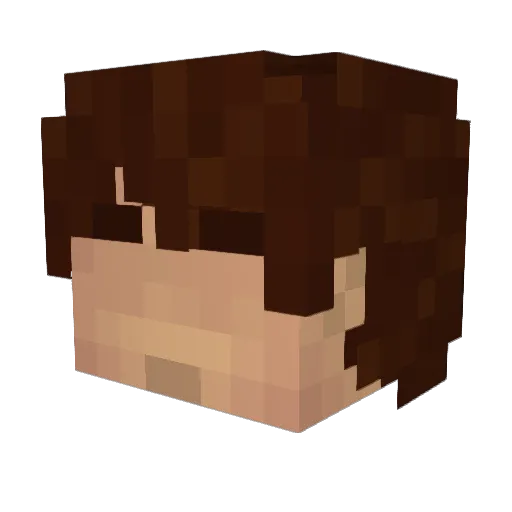MLG_SAUCE_LORD Minecraft avatar head, 3D render