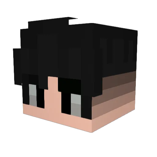 MLK_Miguel_ Minecraft avatar head, 3D render