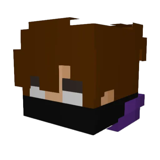 MMA4050 Minecraft avatar head, 3D render