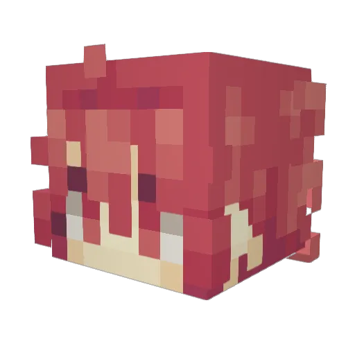 MMadness1 Minecraft avatar head, 3D render