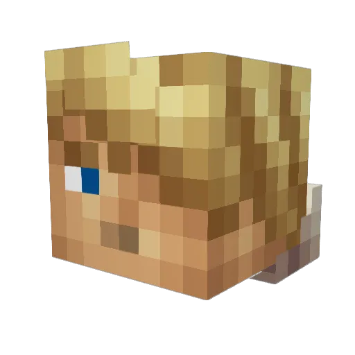 MMay_ Minecraft avatar head, 3D render