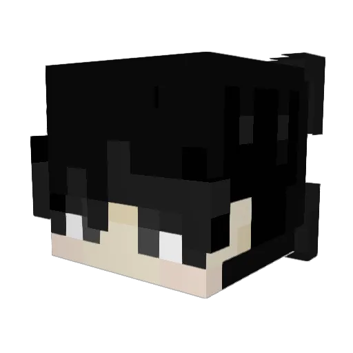 MNGSFHY Minecraft avatar head, 3D render