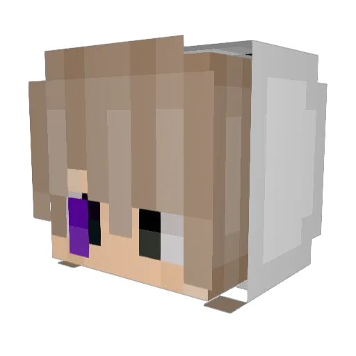 MNMBoy311 Minecraft avatar head, 3D render