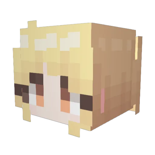 MNQWWQ Minecraft avatar head, 3D render