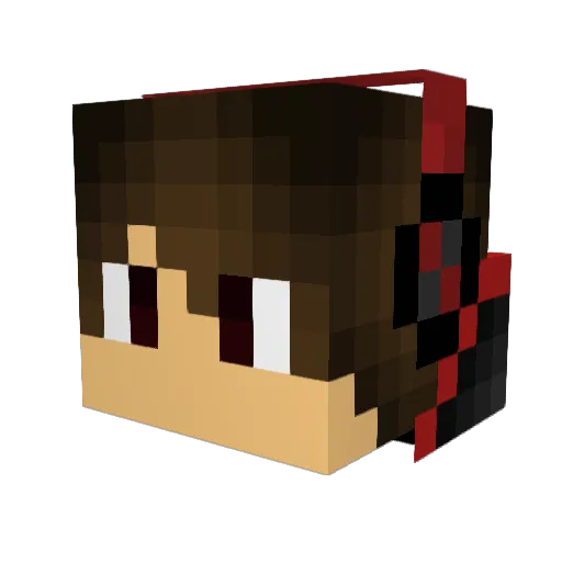 MN_Finn Minecraft avatar head, 3D render