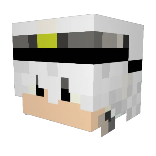 MN_SAT Minecraft avatar head, 3D render