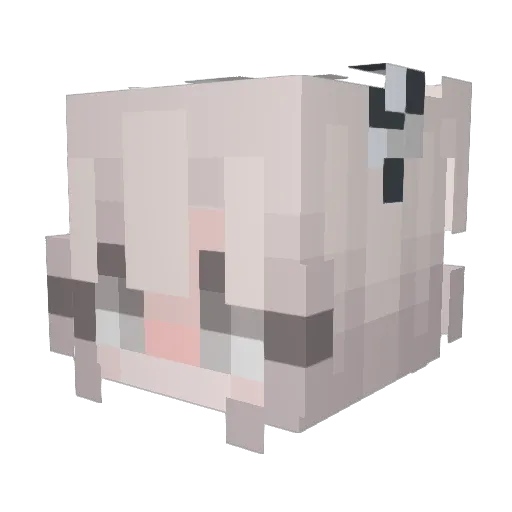 MNmonny Minecraft avatar head, 3D render