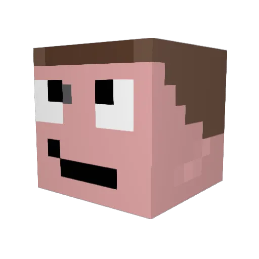 MOBSKATE Minecraft avatar head, 3D render