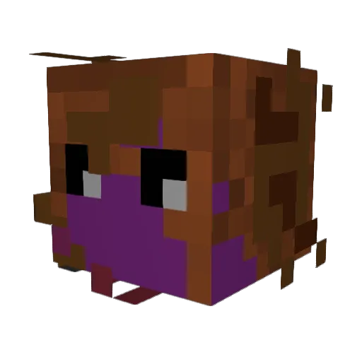 MOCOlinbilly Minecraft avatar head, 3D render
