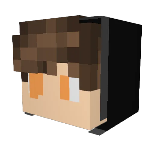 MODISANT Minecraft avatar head, 3D render