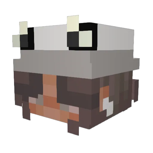 MOLO_06 Minecraft avatar head, 3D render