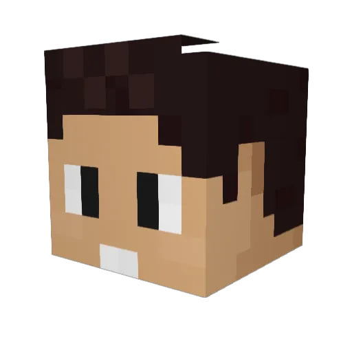 MOLUSCOS14 Minecraft avatar head, 3D render