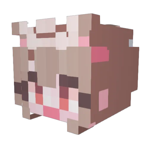 MOMALGOM Minecraft avatar head, 3D render