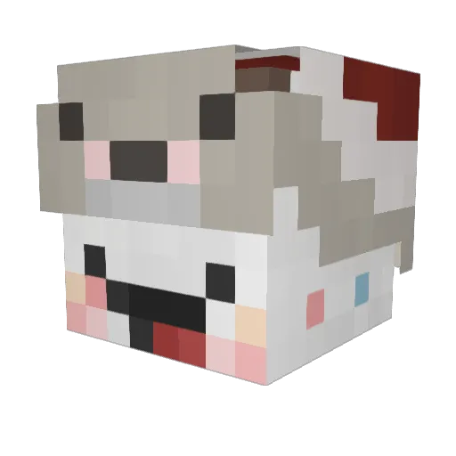 MOMO_ray Minecraft avatar head, 3D render