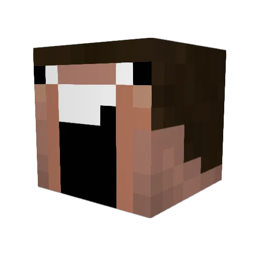 MONFERN8 Minecraft avatar head, 3D render