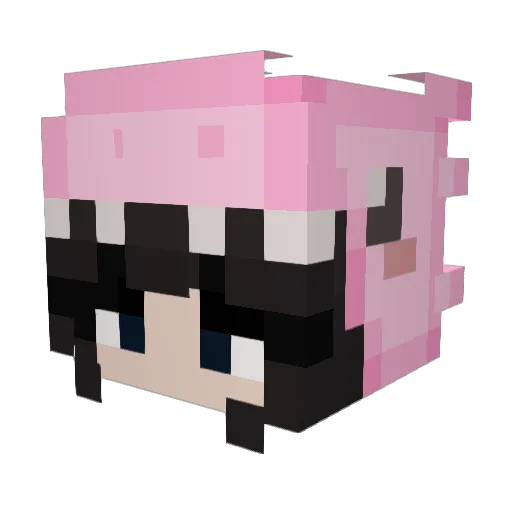 MONISUPERCUTE Minecraft avatar head, 3D render