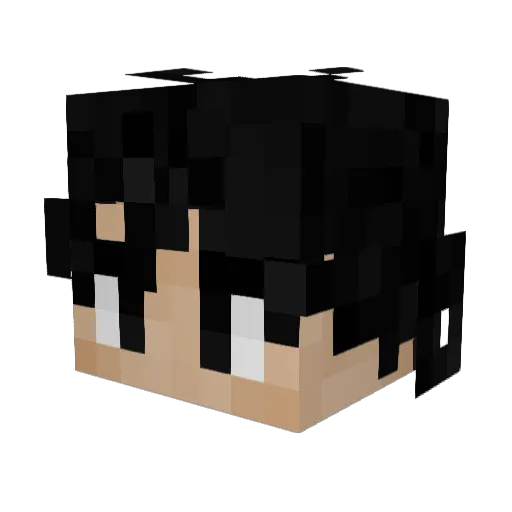 MONKEYDGUMGUM56 Minecraft avatar head, 3D render
