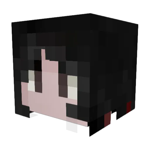 MONO_Fin Minecraft avatar head, 3D render