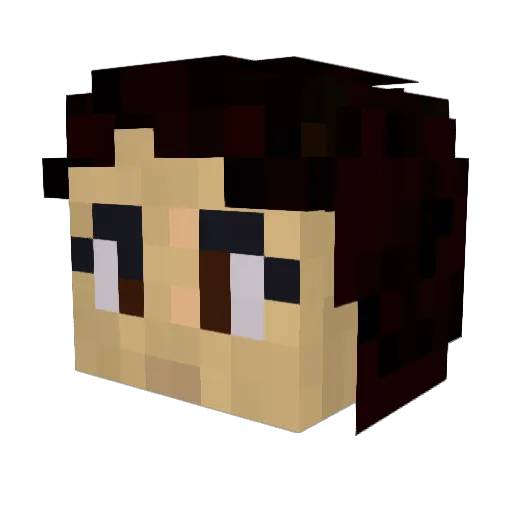MONSTERSHELTER Minecraft avatar head, 3D render