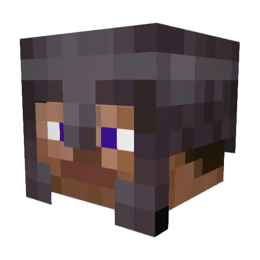 MORE_DI_69 Minecraft avatar head, 3D render