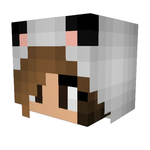 MOTH8888 Minecraft avatar head, 3D render