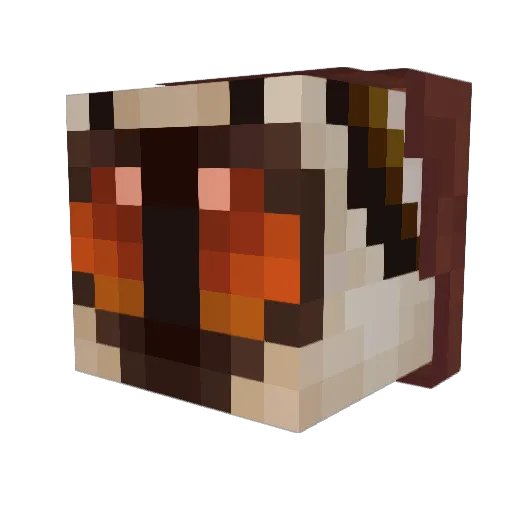 MOTHS___ Minecraft avatar head, 3D render
