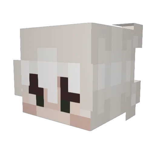 MOTH_FACTS Minecraft avatar head, 3D render