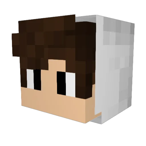 MOULTON_ Minecraft avatar head, 3D render