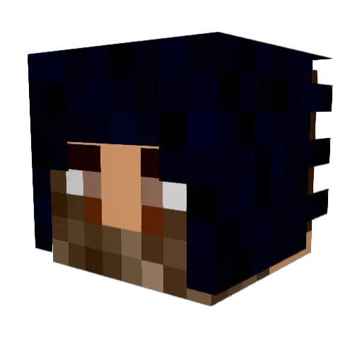 MPJUMPER09 Minecraft avatar head, 3D render