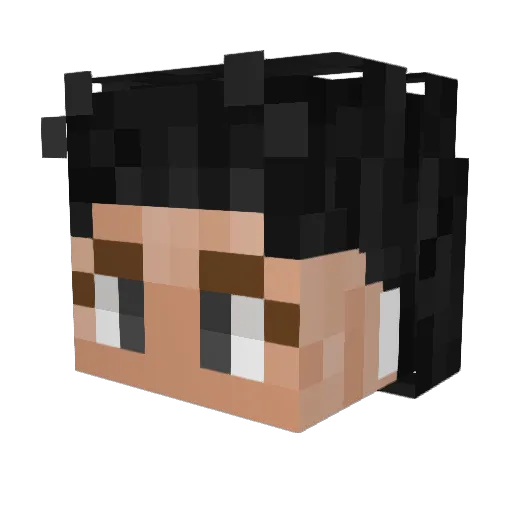 MPLFNB Minecraft avatar head, 3D render