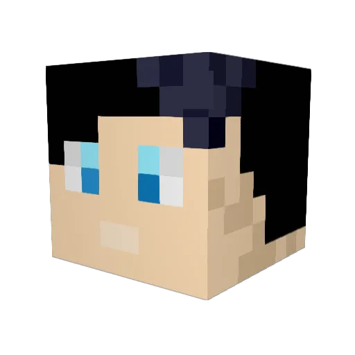 MProxy06 Minecraft avatar head, 3D render